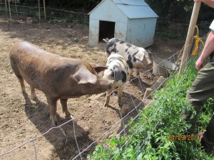 Same two and Betsy "food time"